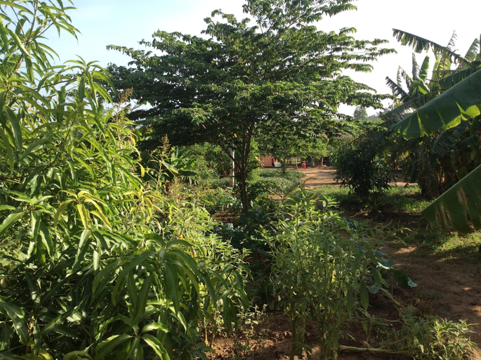 Property grounds, Saadani Pangani Campa && Tours, Handeni