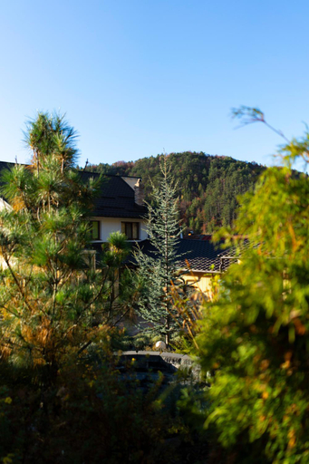 5, Casa Caius, Valiug