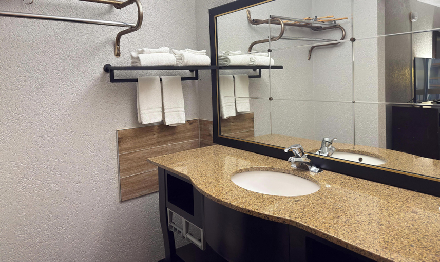 Bathroom 4, The Lodge Hotel and Banquets, Saint Louis