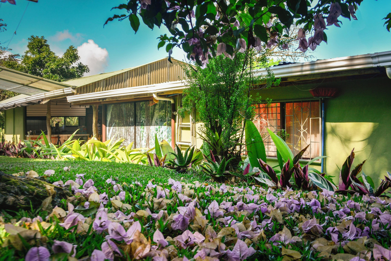 Exterior 4, Cabañas Green House, Coto Brus