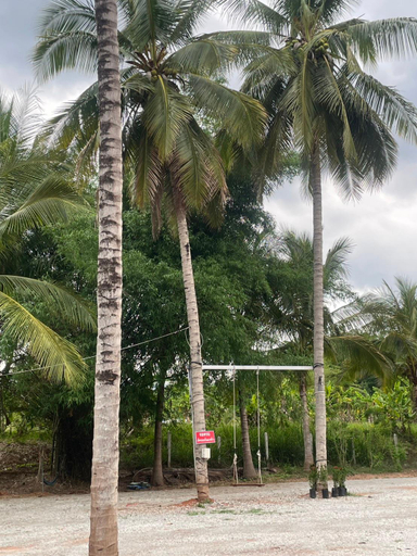 Exterior view 4, Ta Resort, Dan Sai