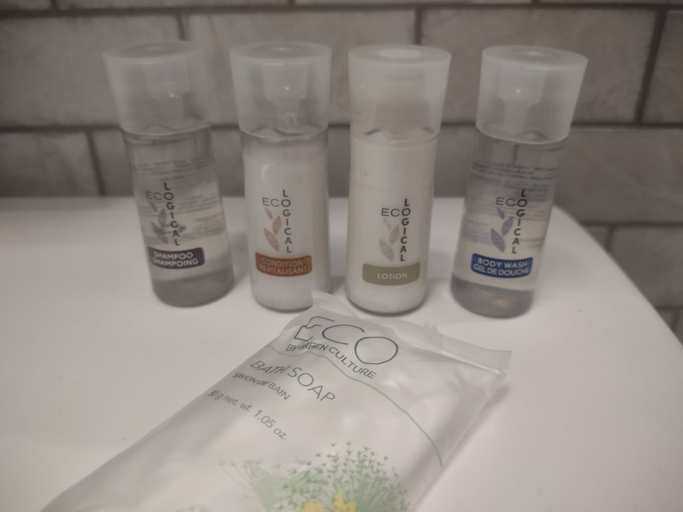 Bathroom amenities, Cape Charles Milestone Lodge, Northampton