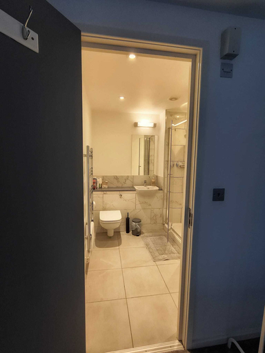Bathroom 3, Shoreditch Apartments, London