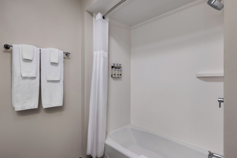 Bathroom 5, Holiday Inn Express & Suites PITTSFIELD - BERKSHIRES, Berkshire