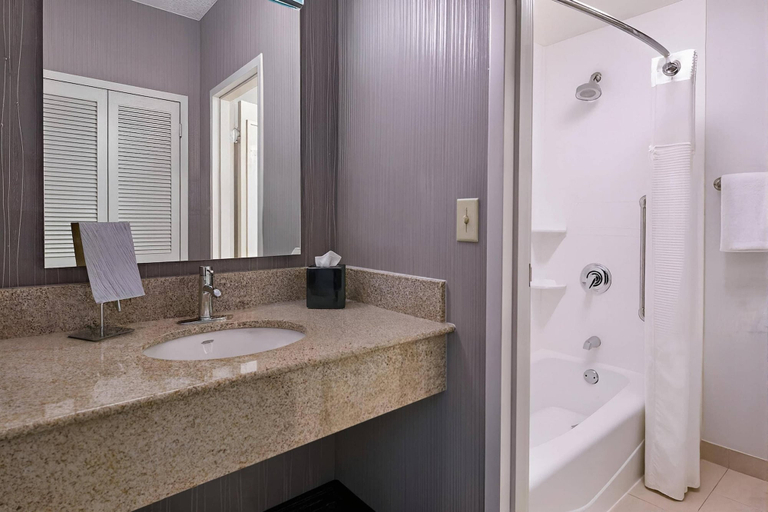 Bathroom 3, Comfort Inn & Suites Eden Prairie - Minneapolis Southwest, Hennepin