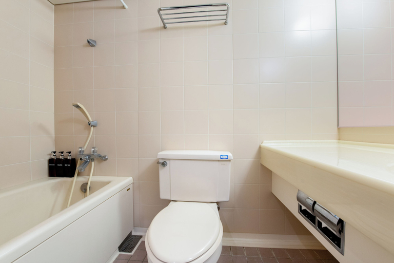 Bathroom 4, Hotel Eldia Madarao, Myōkō