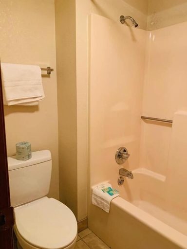 Bathroom 3, Landmark Inn On The River, Sevier