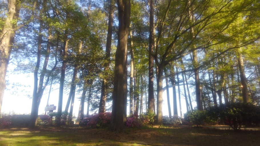 Property grounds, Cape Charles Milestone Lodge, Northampton