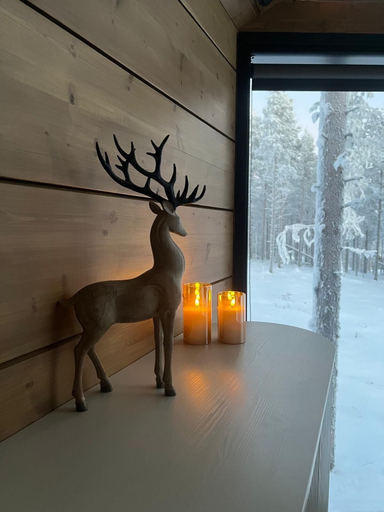 Room 5, Levi Nordic Star Igloos, Lapland