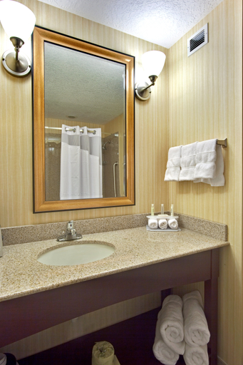 Bathroom 5, Holiday Inn Express & Suites GRANTS - MILAN by IHG, Cibola