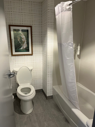 Bathroom 4, Hampton Inn & Suites Woodstock, VA, Shenandoah