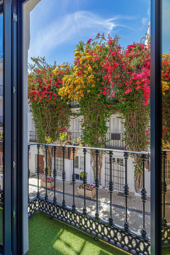 Others 5, Casa Ancha 10, Málaga