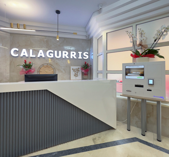 Public Area 2, Hotel Calagurris, La Rioja