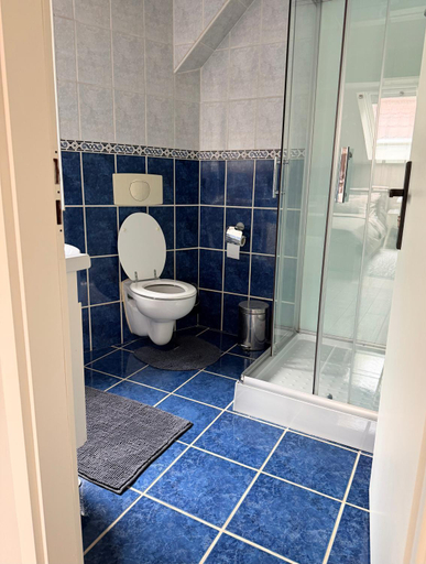 Bathroom, Villa Tampa - Free parking in the Old Town Brasov, Brasov