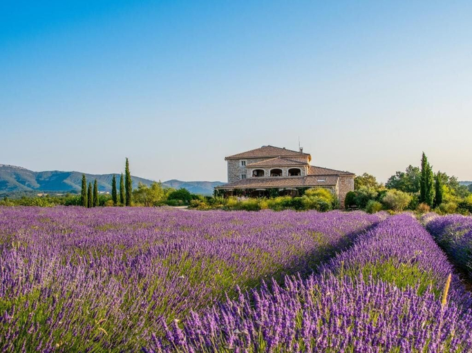 Miscellaneous 3, Domaine du Frigoulet, Ardèche