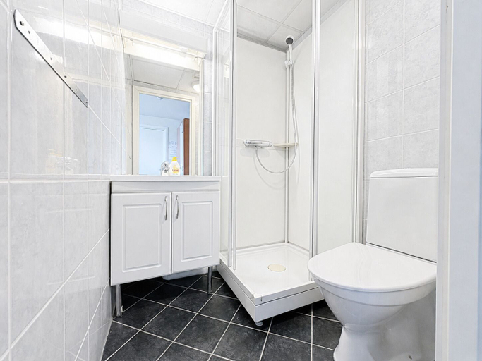 Bathroom 3, Hotel Toranes, Rana