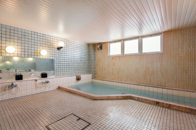 Bathroom 4, Hotel Eldia Madarao, Myōkō