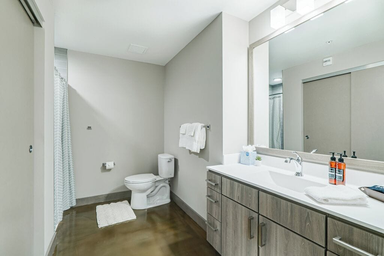 Bathroom 4, Sable 302 - Alcove, Hennepin