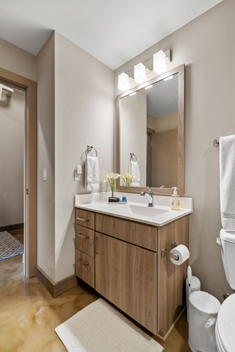 Bathroom 4, Sable 804 - One Bedroom, Hennepin