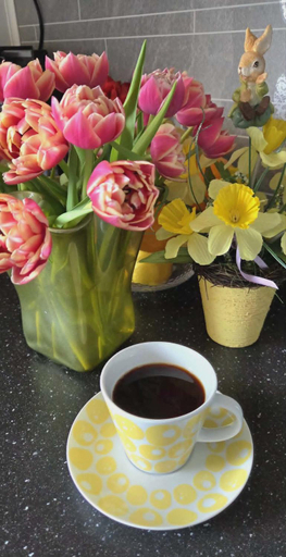 Food & Drinks 5, Gjesterom til leie i et privat hus 250 moh, Ringsaker