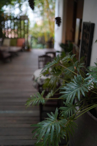 Others 4, An House Retreat, Đà Lạt