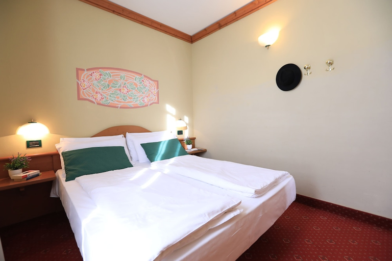 Others 4, Palace Pontedilegno Resort, Brescia