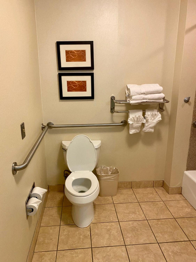 Bathroom, Comfort Suites Rock Hill Manchester Meadows Area, York