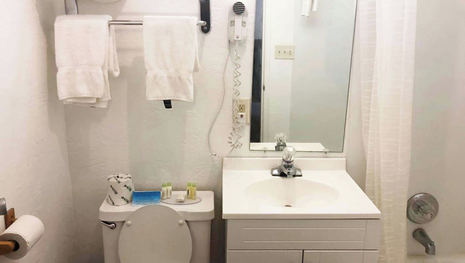 Bathroom 4, M Star Hotel Mansfield, Richland