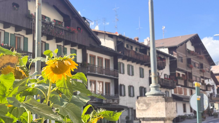 Others 2, Chalet Stravedo by Ca-Sa Check, Belluno