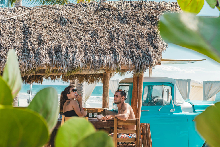 Food & Drinks 5, W PUNTA DE MITA, Compostela