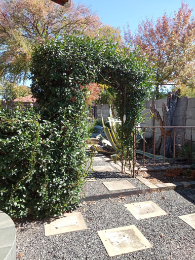 Others 5, LISANE ACCOMMODATION, Nkangala
