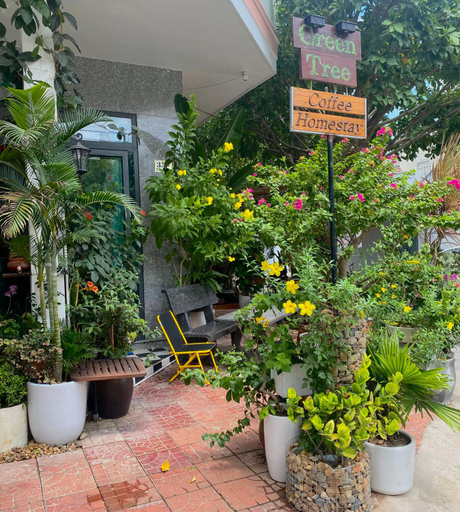 Others 3, GREEN TREE Homestay Tuy Hoa, Tuy Hoa