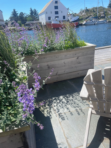 Terrace/patio, Gamlekaien, Karmøy
