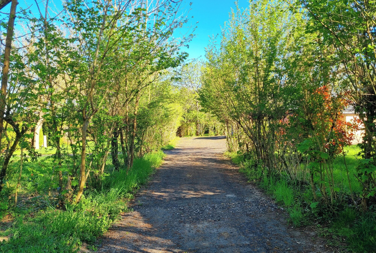 Property grounds 4, Parc - Camping de Coullons, Loiret