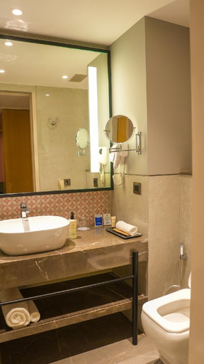 Bathroom 3, Sarovar Portico Birgunj, Narayani