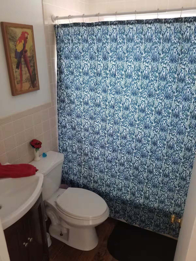 Bathroom, Cardinals Nest Smith Mountain Lake, Bedford
