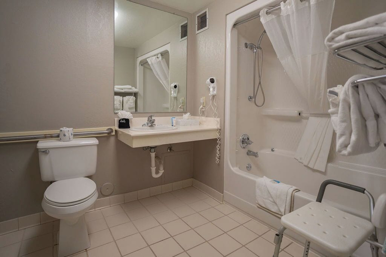Bathroom 4, Branson Towers Hotel, Taney
