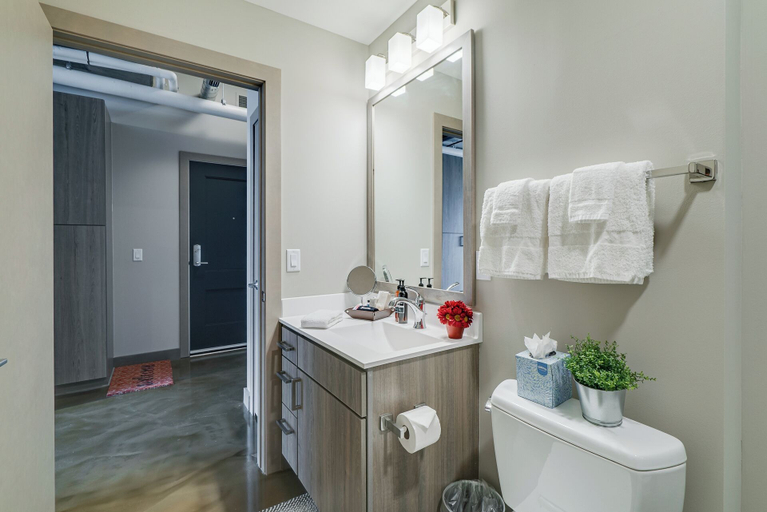 Bathroom 4, Sable 807 - One Bedroom, Hennepin