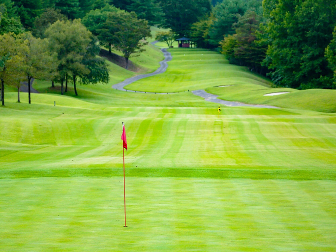 Golf 4, LiVEMAX Golf Club Tochigi, Kanuma