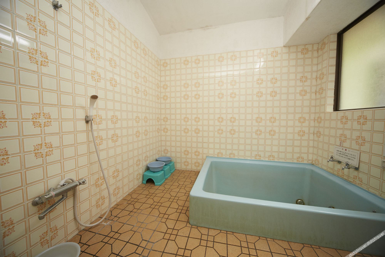 Bathroom 2, Nashikisou, Toyooka