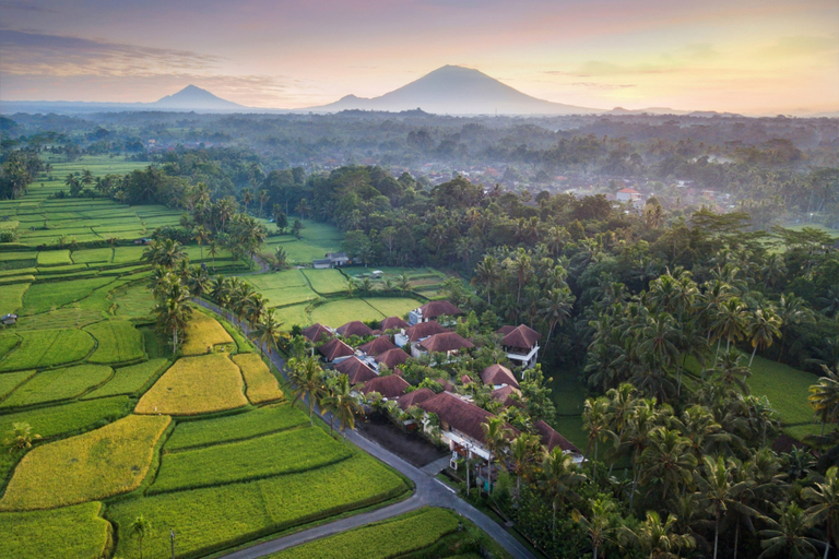 Others