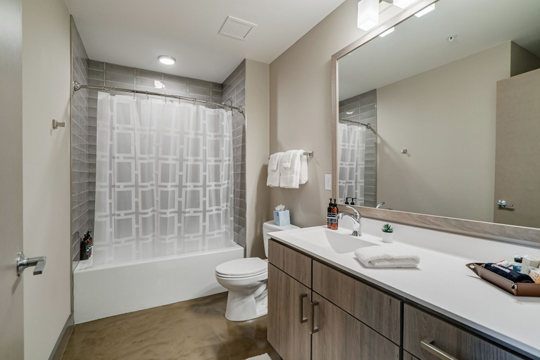 Bathroom, Sable 703 - Alcove, Hennepin