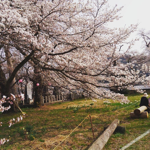Others 4, Nashikisou, Toyooka