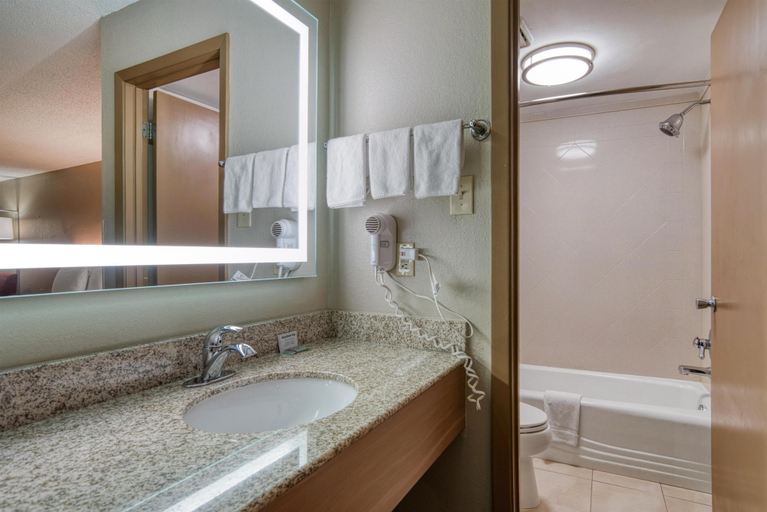 Bathroom 4, Best Western Vicksburg, Warren