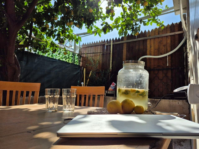 Public areas, The Lemon House