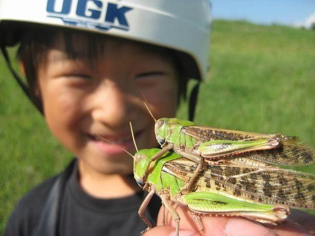 Others 2, Sports Pal, Inawashiro