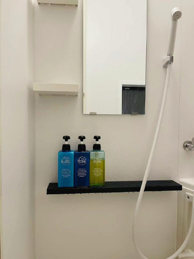 Bathroom 3, Shirakawa Seiryuan, Kyoto