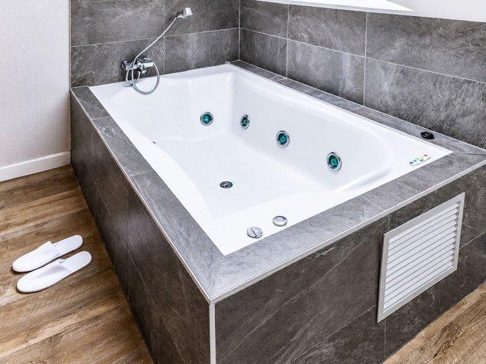 Bathroom 4, Andia, Navarra