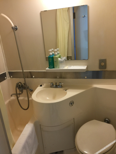 Bathroom 5, Toyohashi Business Hotel, Toyohashi