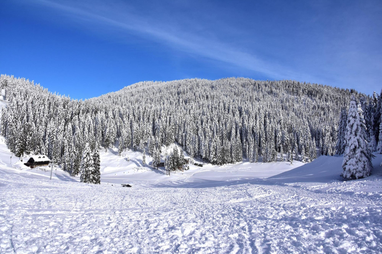 Others 3, Pool & Wellness Chalet Sunshine, Vransko